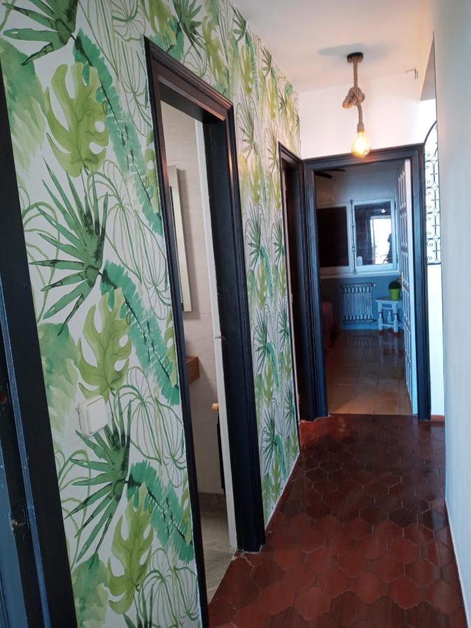 迈阿密普拉特亚Aloha Miami公寓 外观 照片